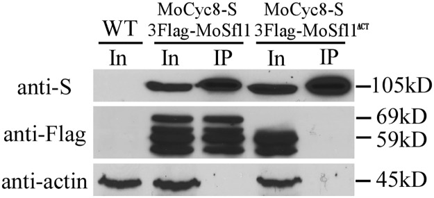 Fig 5