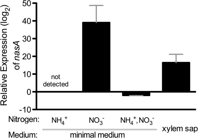 FIG 2