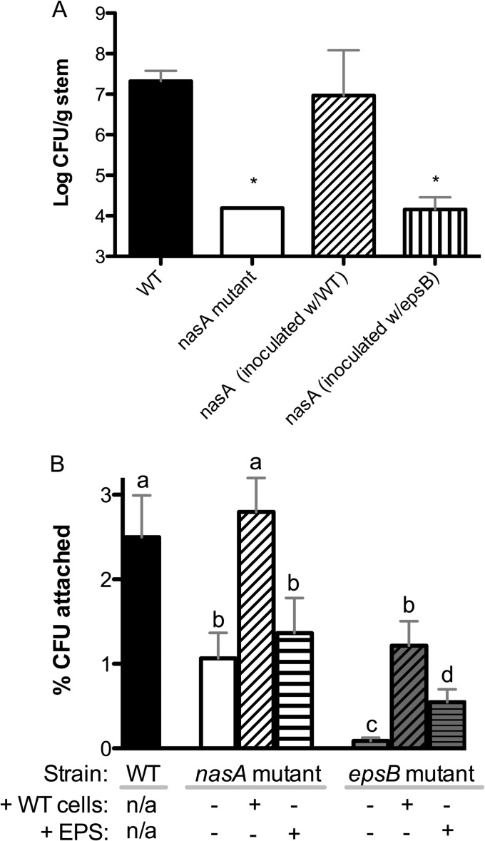 FIG 7