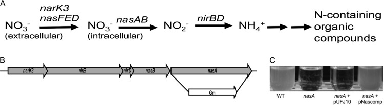 FIG 1