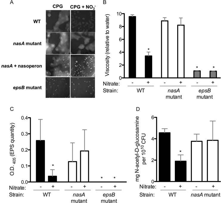 FIG 6