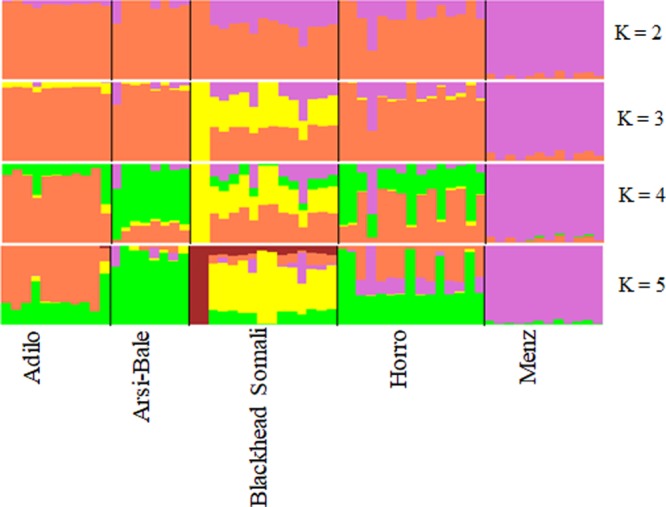 FIGURE 3