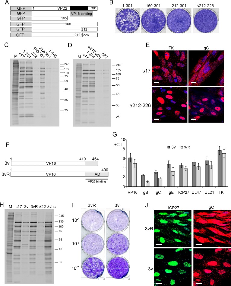 Fig 10