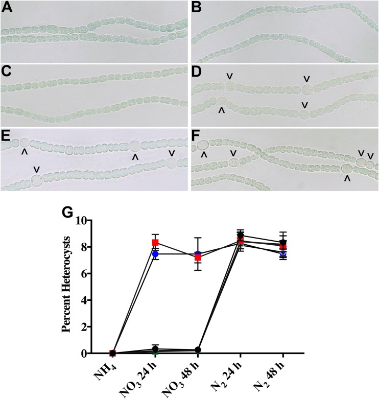 FIG 2