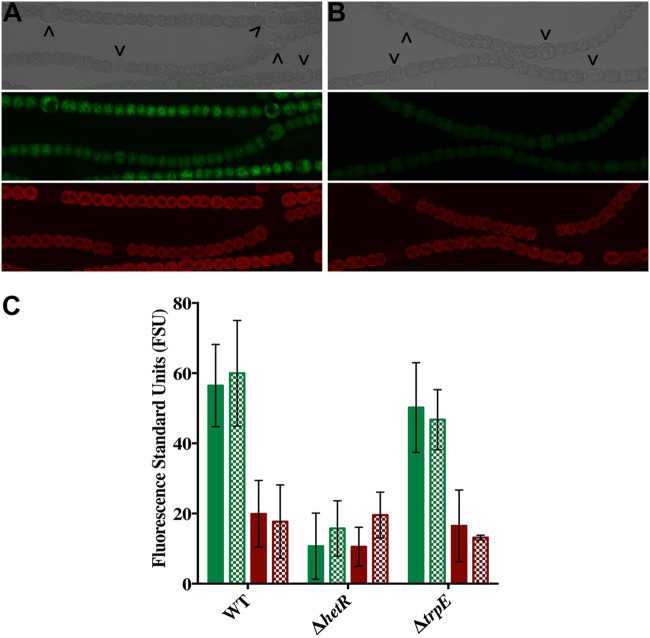 FIG 3