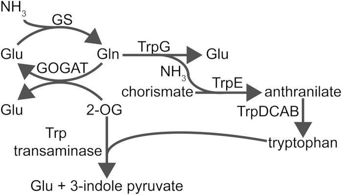 FIG 5