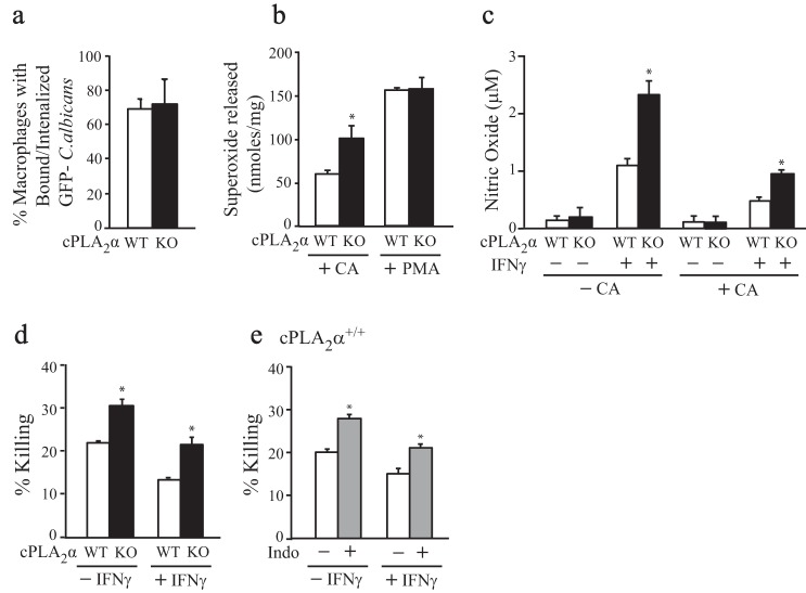 FIGURE 11.