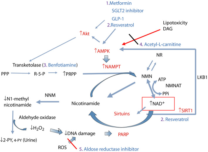 Figure 12