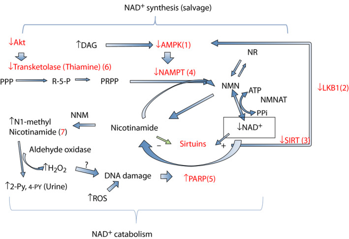 Figure 7