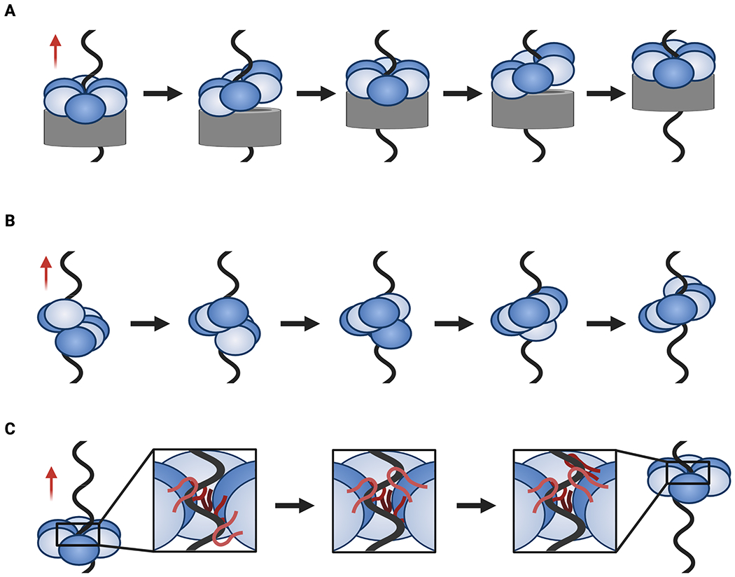 Fig. 5: