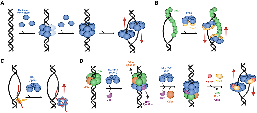 Fig. 7: