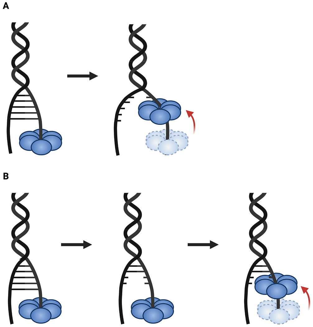 Fig. 6: