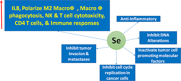 Fig 2.