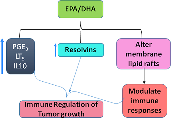 Fig 4.