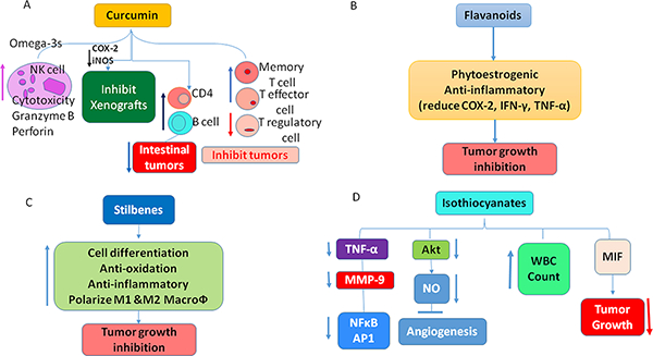 Fig 3A: