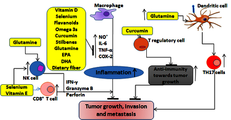 graphic file with name nihms-794334-f0001.jpg