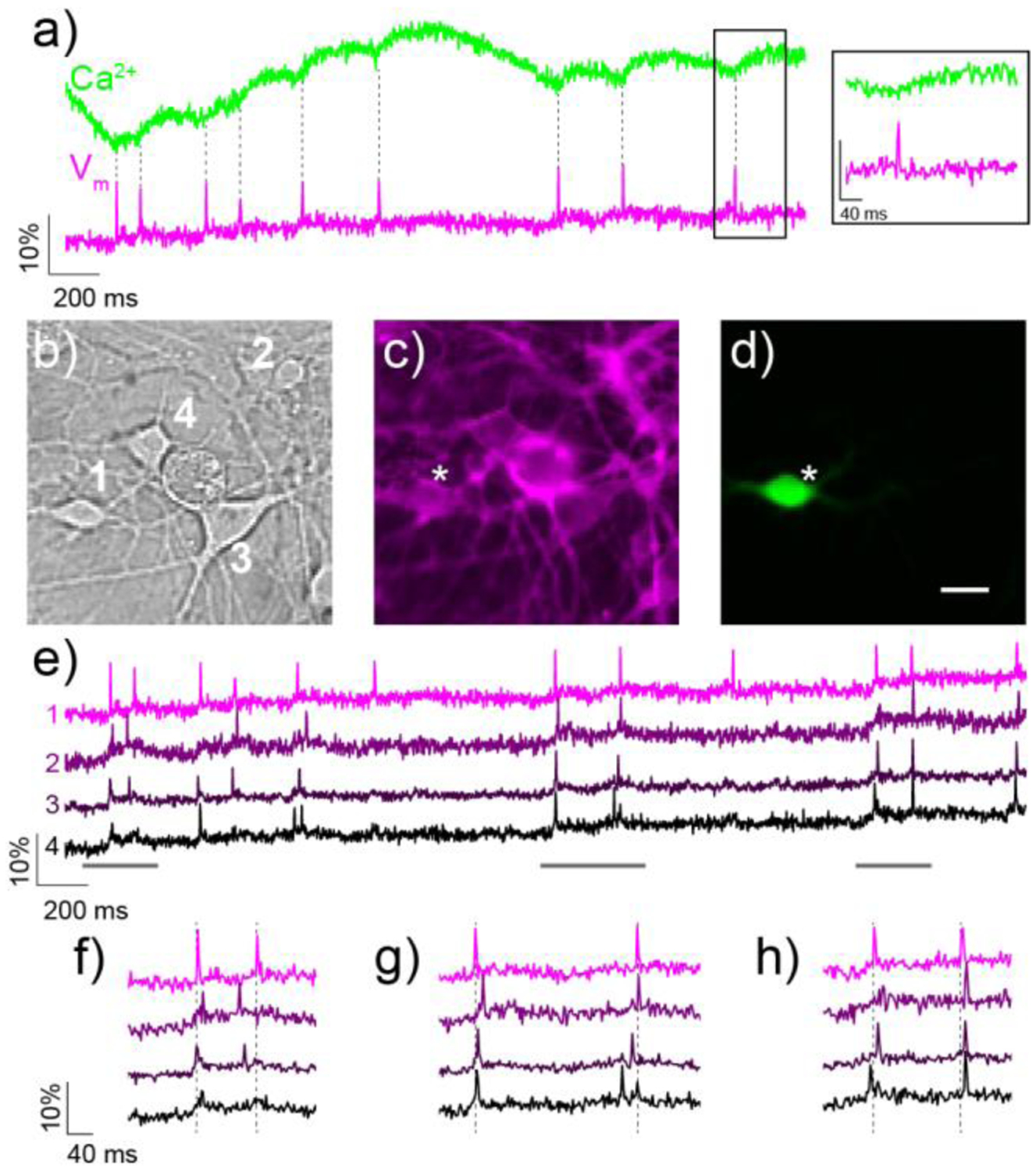 Figure 4.