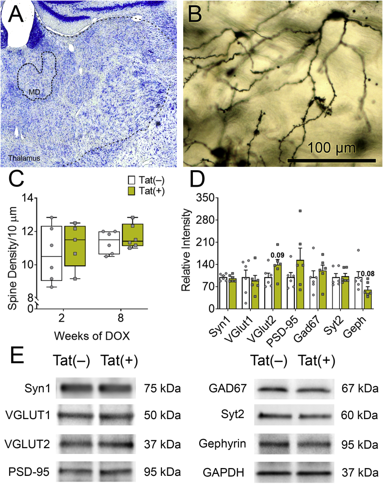 Fig. 6