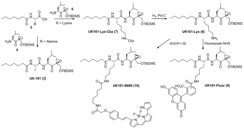 Scheme 1