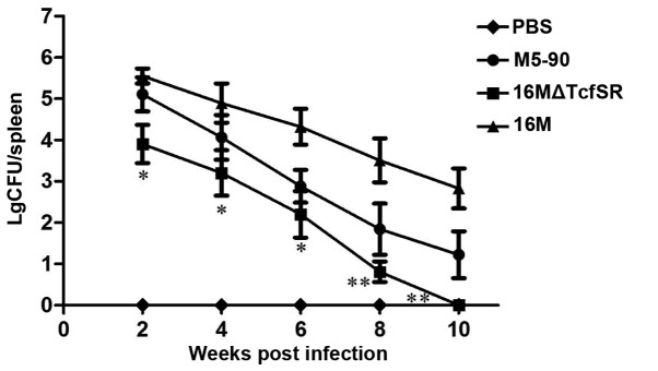 Figure 2.