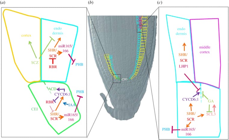 Figure 2.