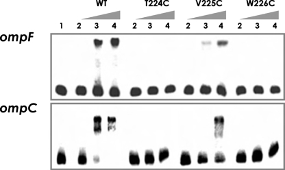 FIGURE 9.