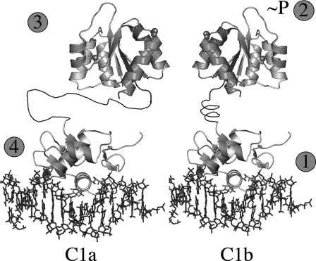 FIGURE 12.