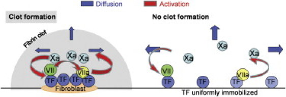 Figure 8