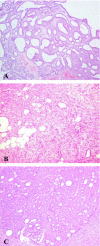 Fig. 1