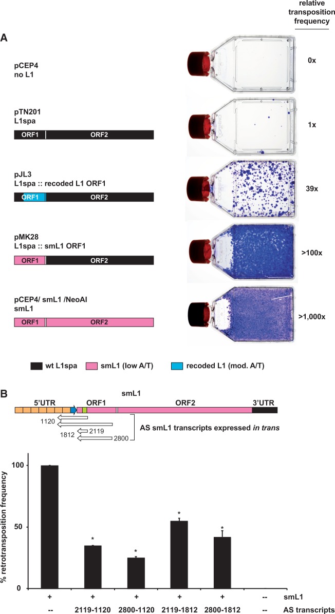 Figure 6.