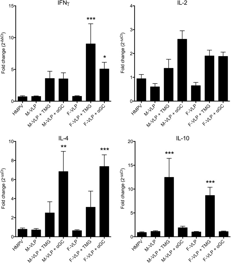 FIG 6