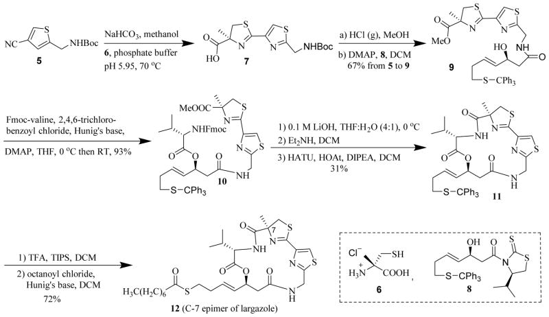 Scheme 1