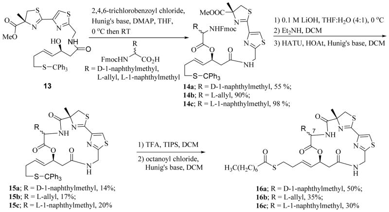 Scheme 2