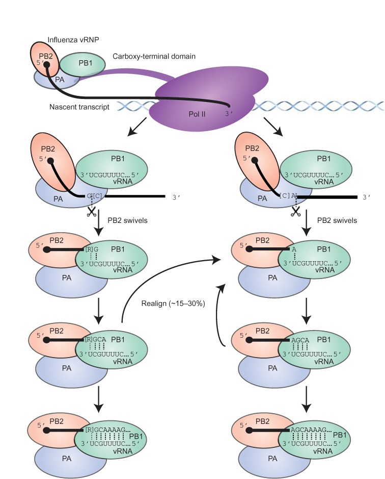 Figure 6.