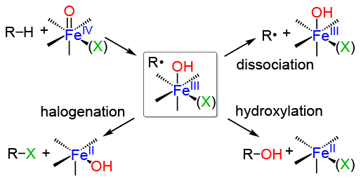 Scheme 1.