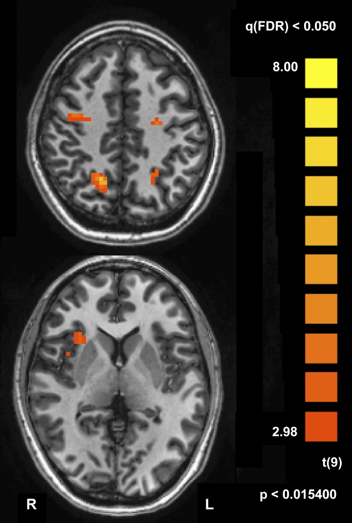 Fig. 3.