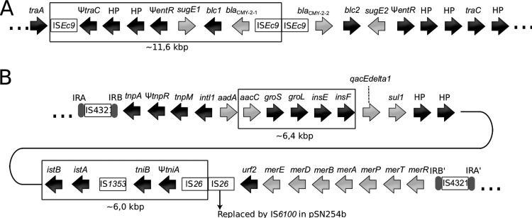 FIG 3