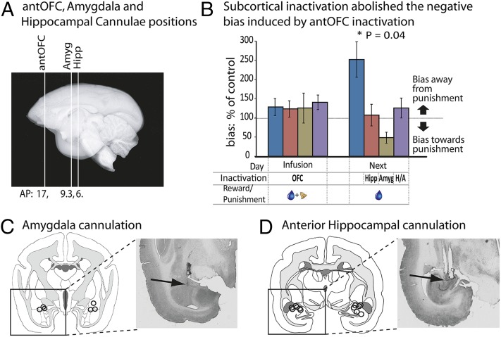 Fig. 4.