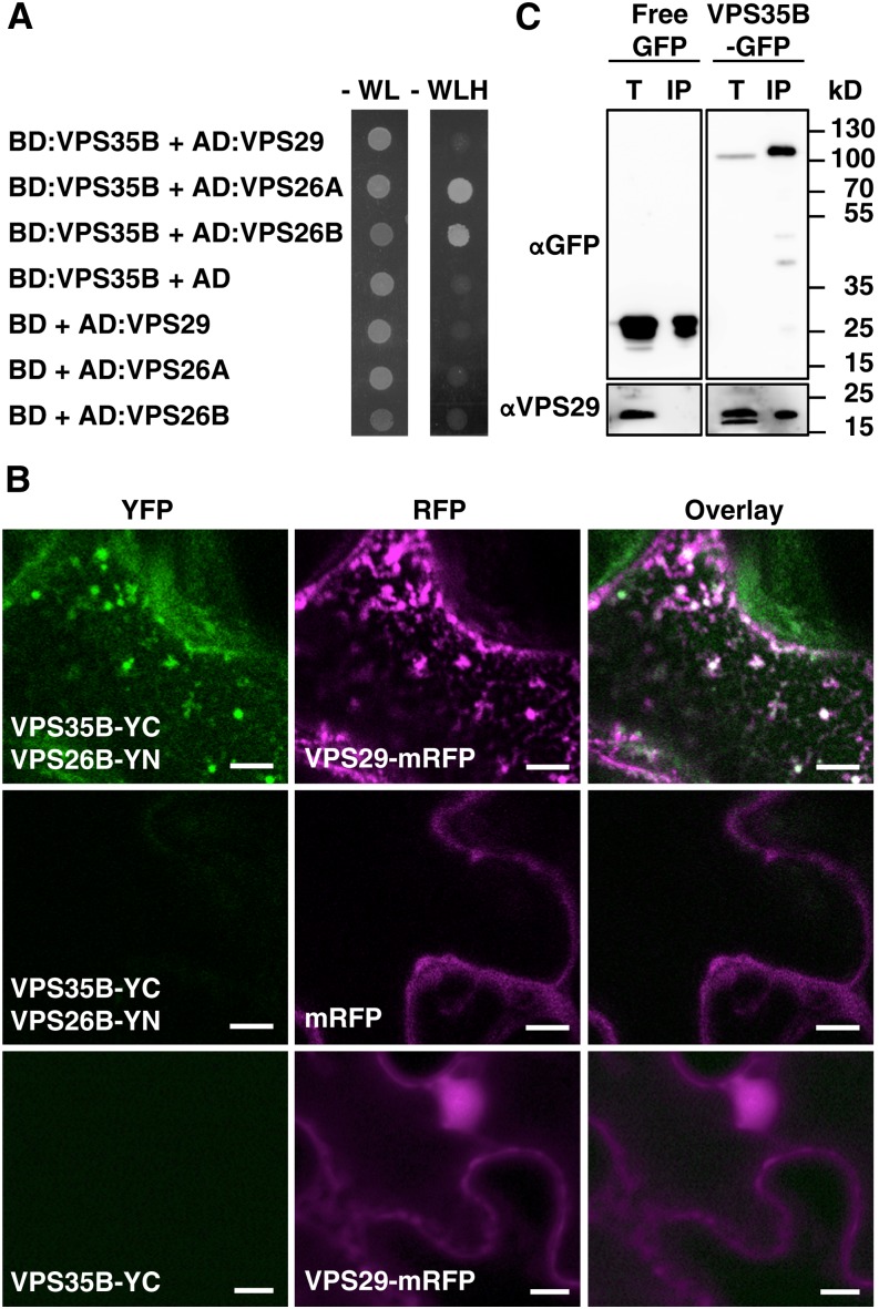 Figure 3.