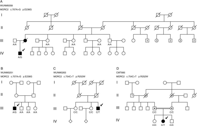 FIGURE 3