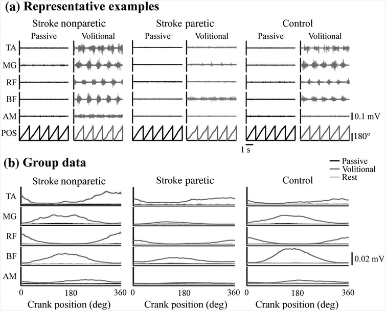 Figure 2 —