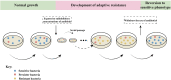 Figure 4