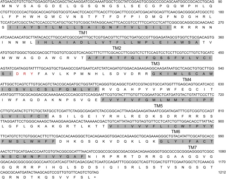 FIGURE 1