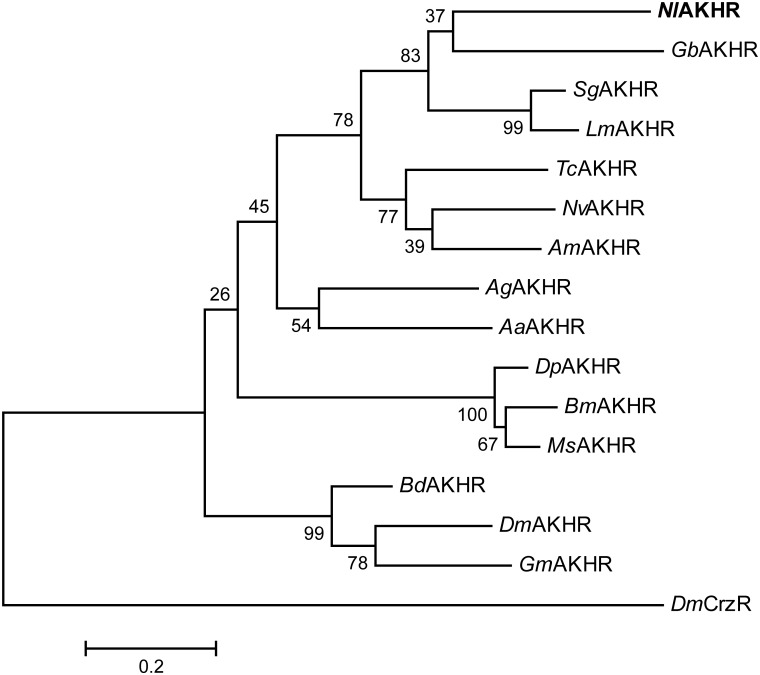 FIGURE 2