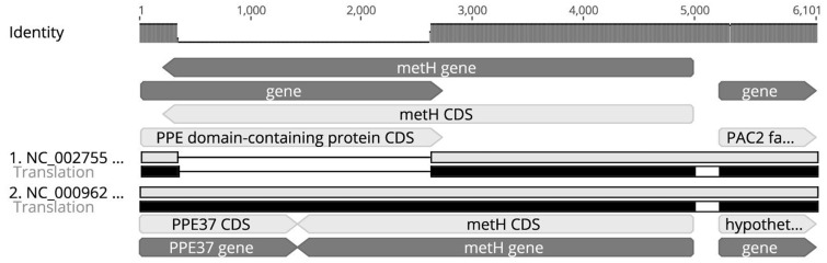 Fig. 6.