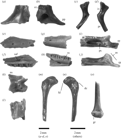 Figure 2.