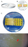 FIG 4