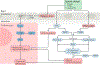 Fig. 2 |