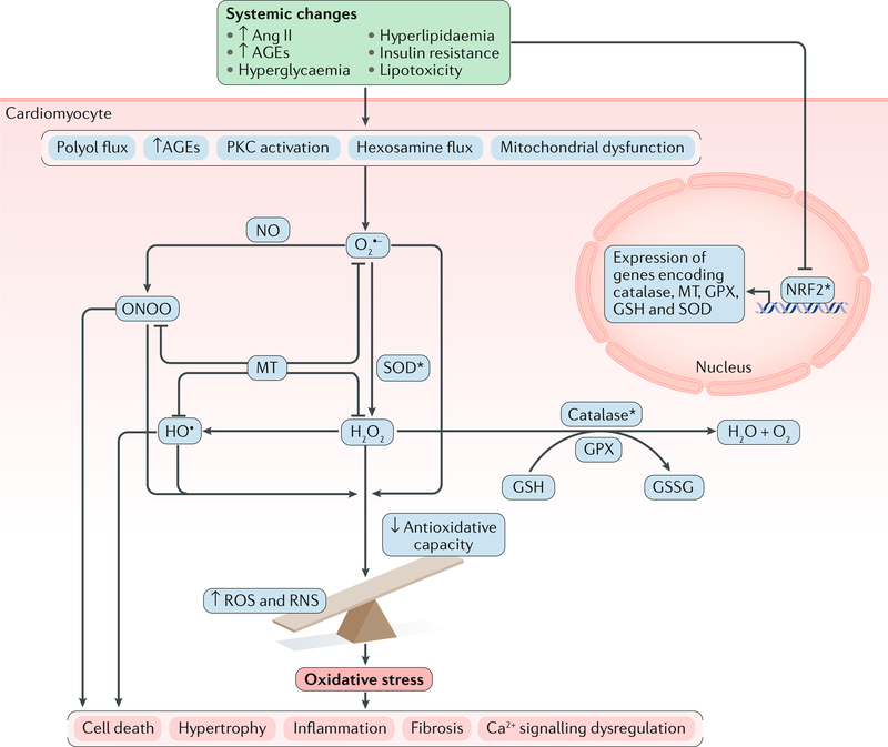 Fig. 4 |