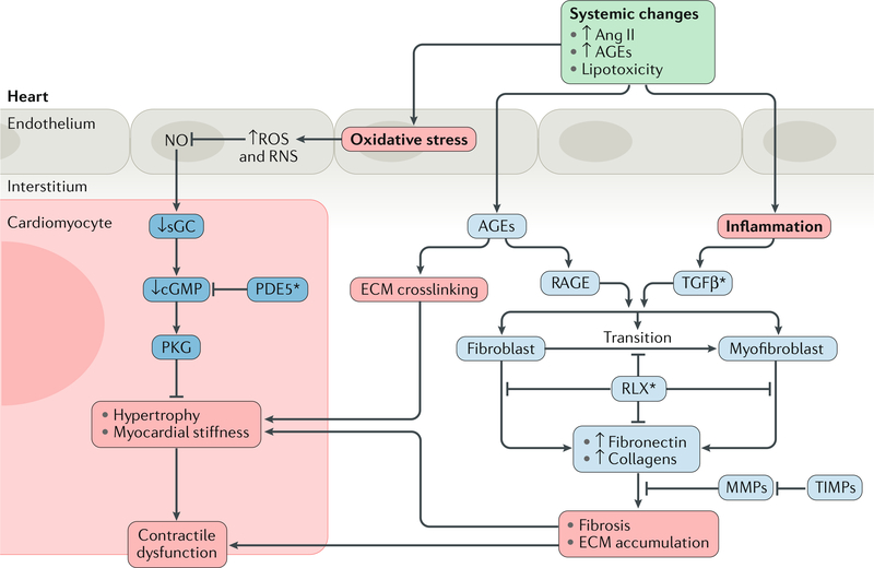 Fig. 2 |